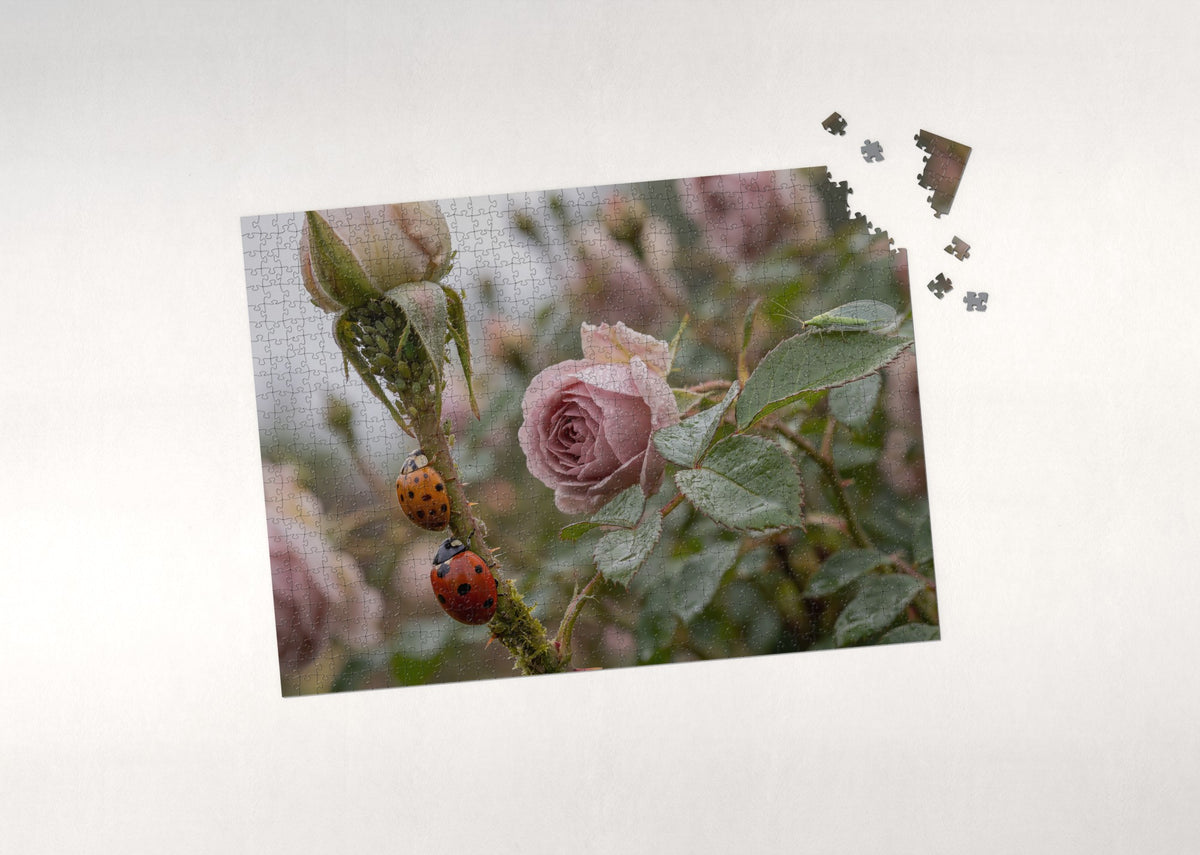 Ladybugs on the Rose Stem jigsaw puzzle - puzzle with loose pieces