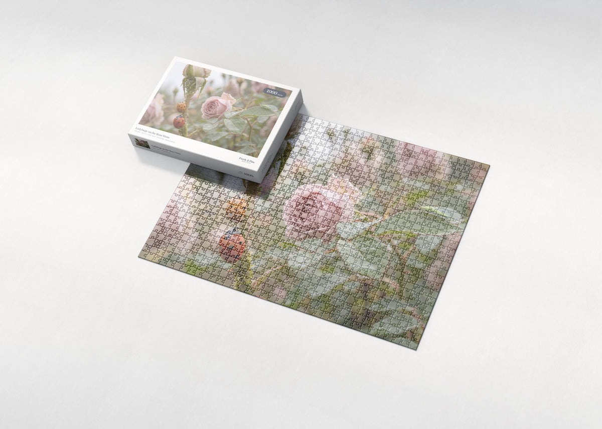 Ladybugs on the Rose Stem jigsaw puzzle - box and puzzle