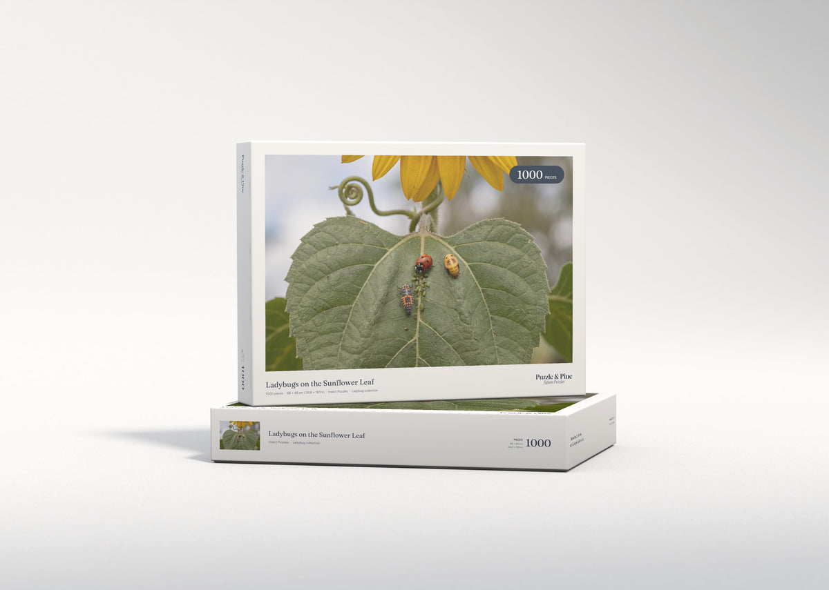 Ladybugs on the Sunflower Leaf jigsaw puzzle - gift box