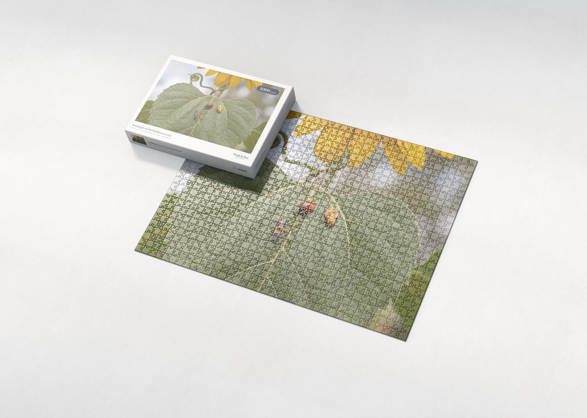 Ladybugs on the Sunflower Leaf jigsaw puzzle - box and puzzle