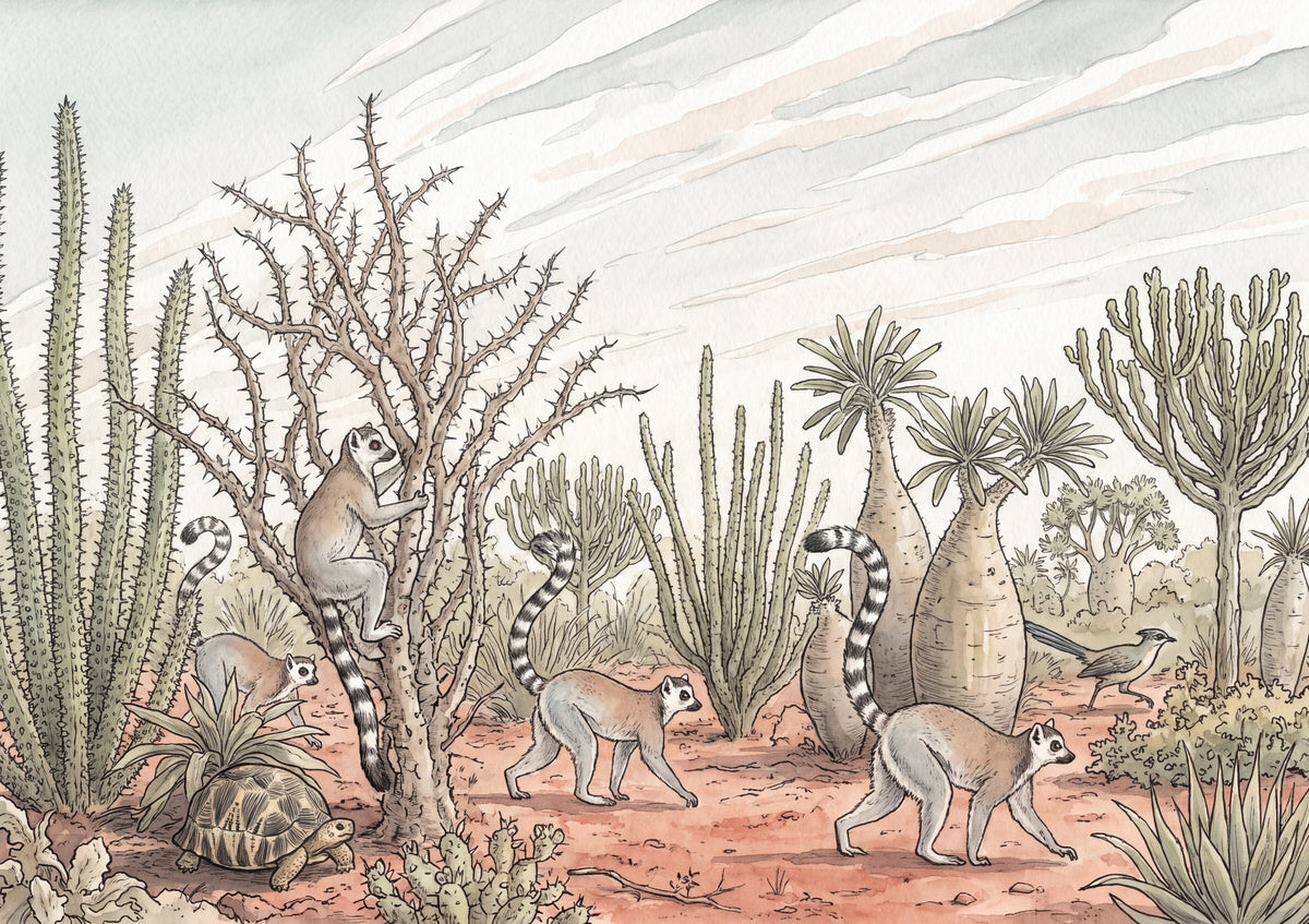 Lemurs in the Spiny Forest jigsaw puzzle