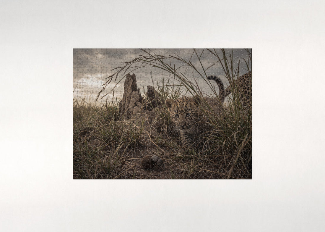 Leopard Cub in the Tall Grass jigsaw puzzle - gift box