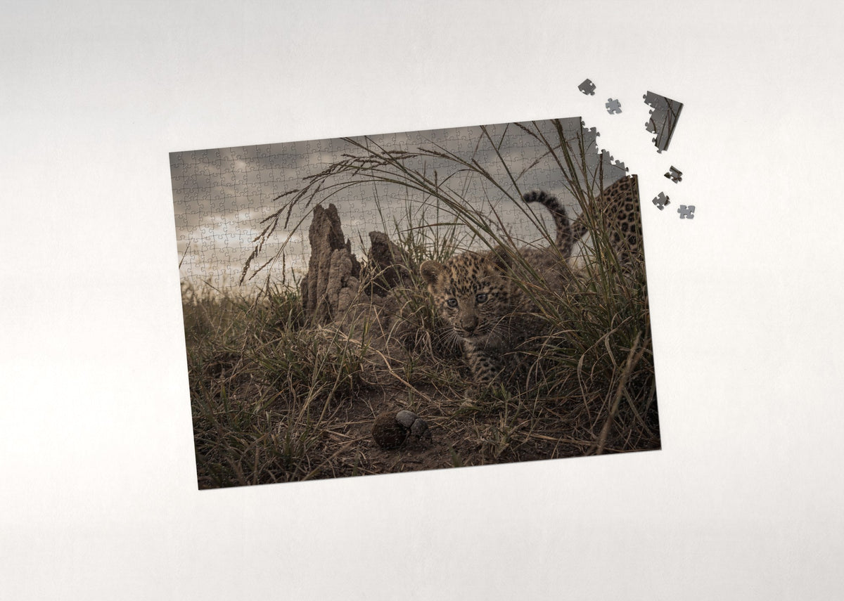 Leopard Cub in the Tall Grass jigsaw puzzle - puzzle with loose pieces