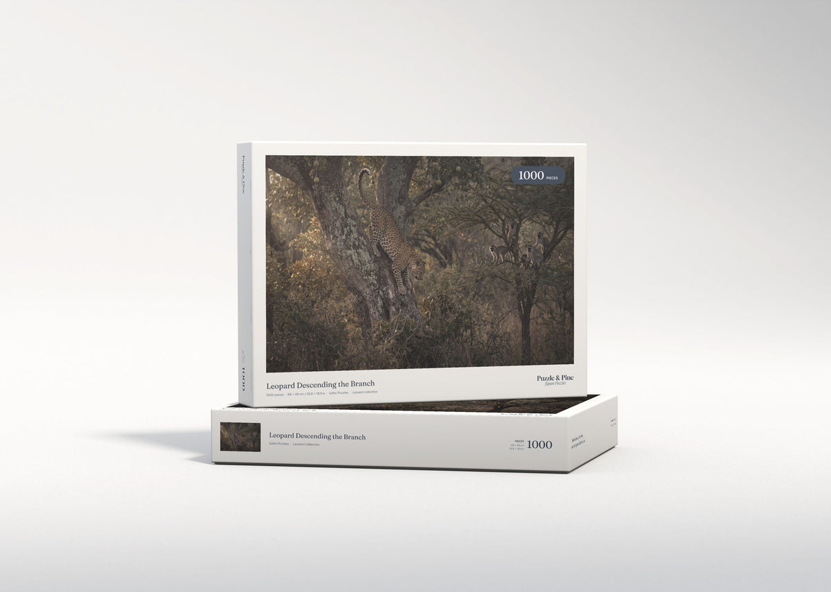 Leopard Descending the Branch jigsaw puzzle - gift box