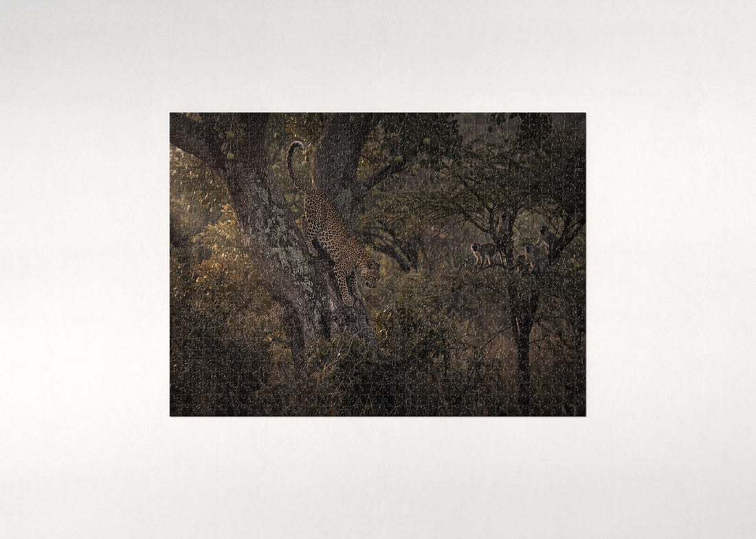 Leopard Descending the Branch jigsaw puzzle - gift box