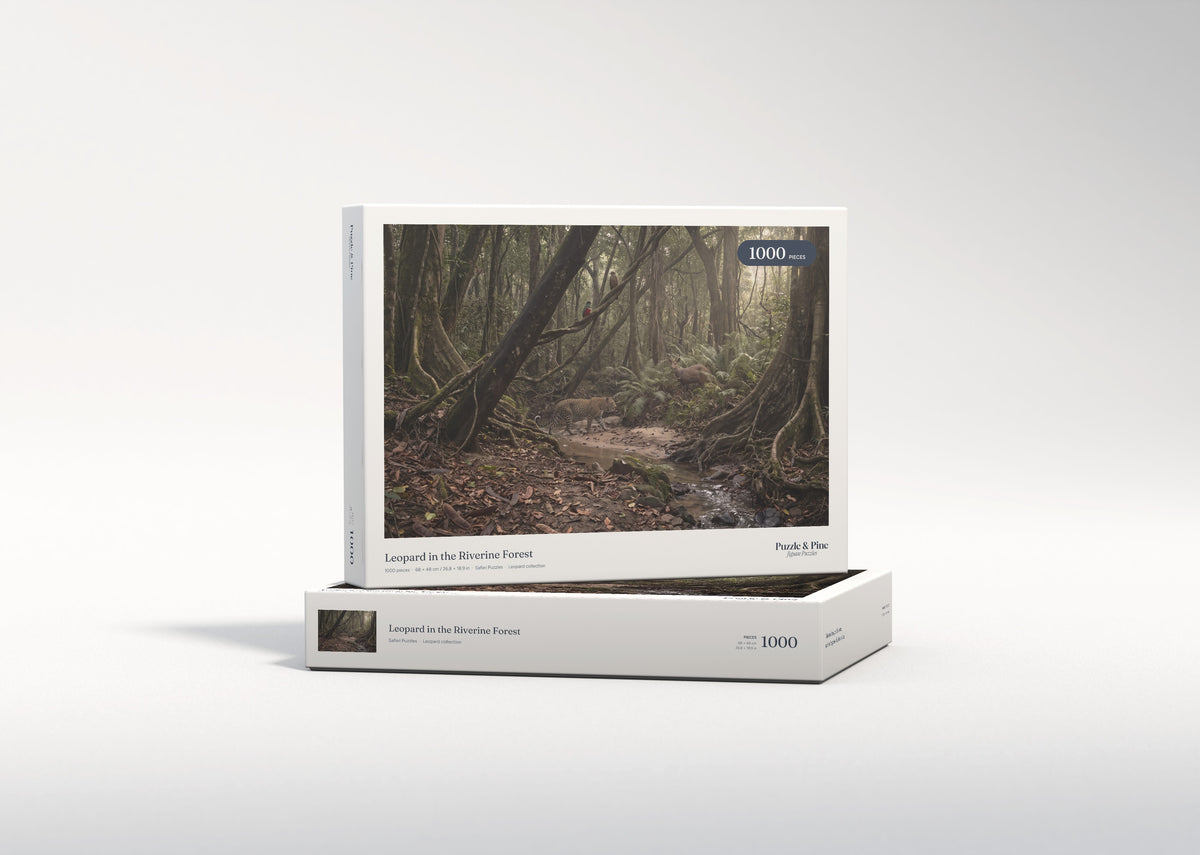 Leopard in the Riverine Forest jigsaw puzzle - gift box