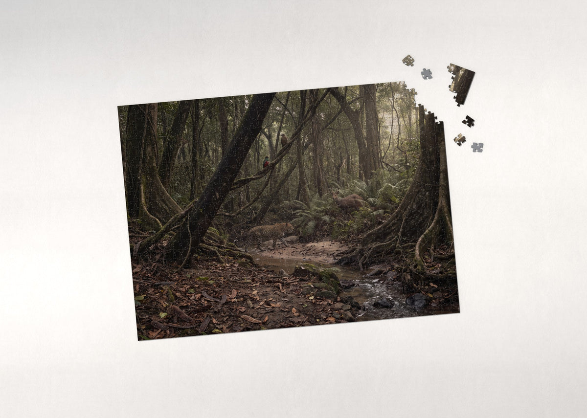 Leopard in the Riverine Forest jigsaw puzzle - puzzle with loose pieces