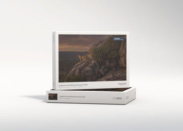Leopard on the Rocky Outcrop at Dusk jigsaw puzzle - gift box