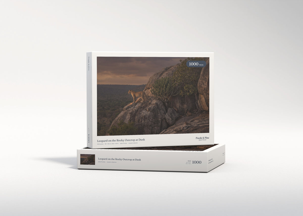 Leopard on the Rocky Outcrop at Dusk jigsaw puzzle - gift box