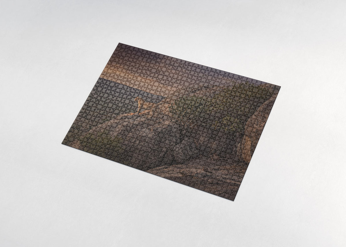 Leopard on the Rocky Outcrop at Dusk jigsaw puzzle - assembled puzzle