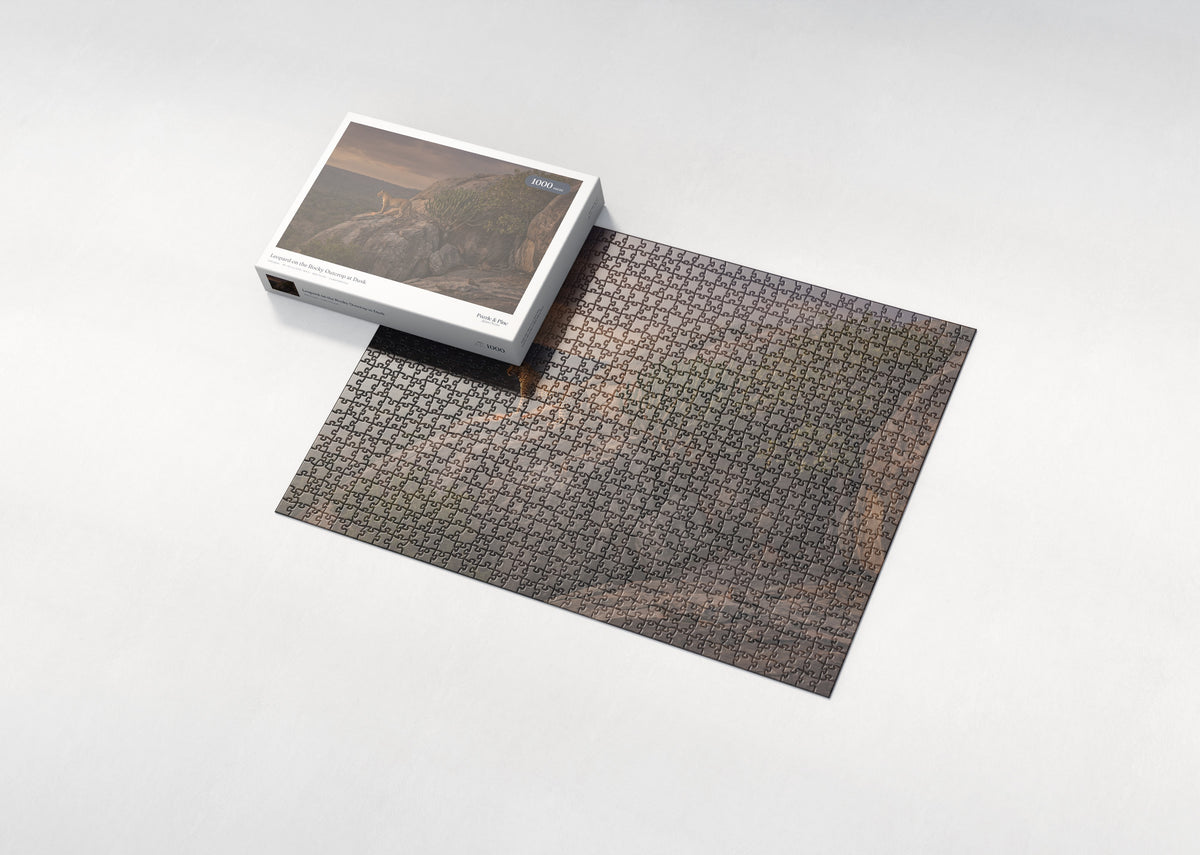 Leopard on the Rocky Outcrop at Dusk jigsaw puzzle - box and puzzle