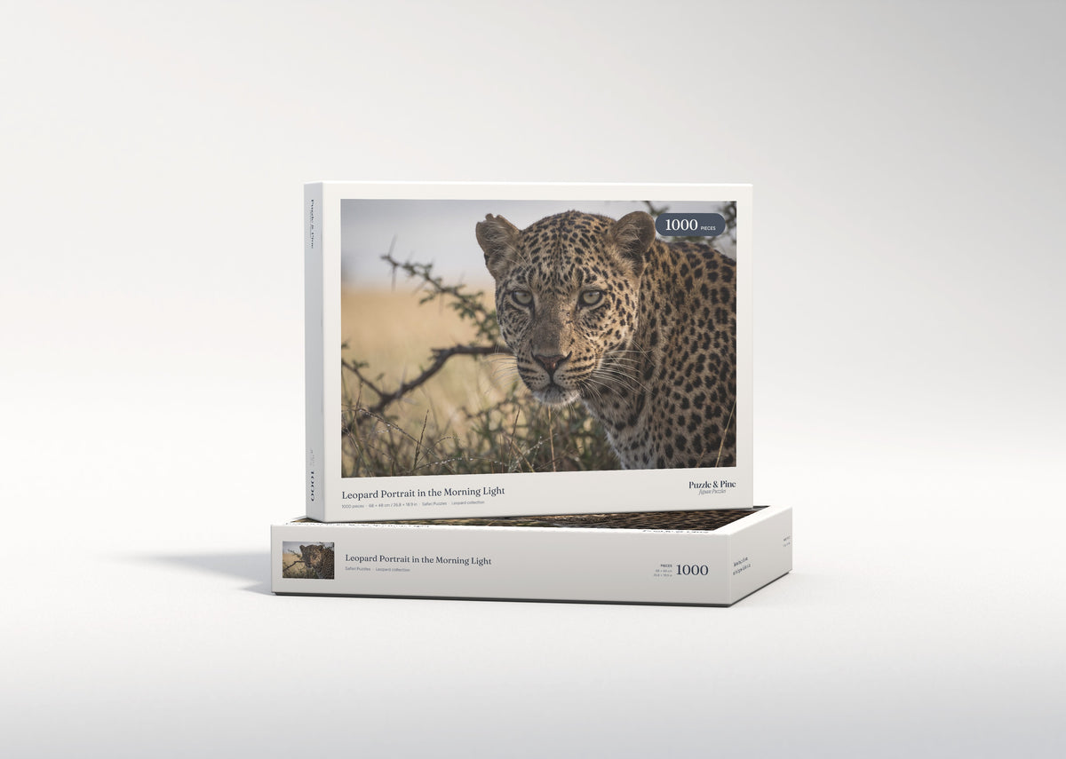 Leopard Portrait in the Morning Light jigsaw puzzle - gift box