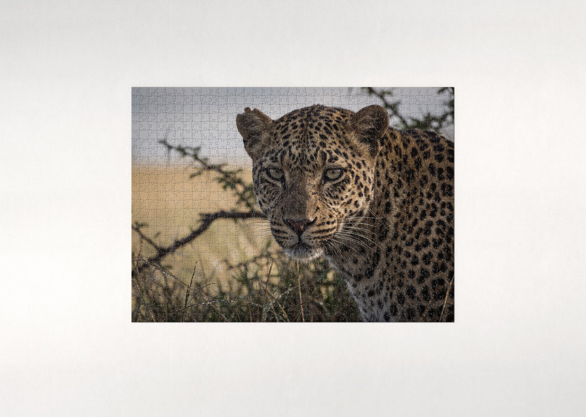 Leopard Portrait in the Morning Light jigsaw puzzle - flat puzzle