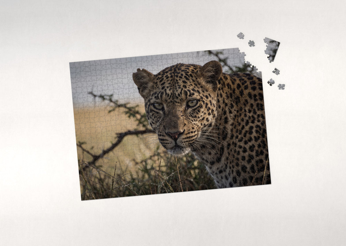 Leopard Portrait in the Morning Light jigsaw puzzle - puzzle with loose pieces