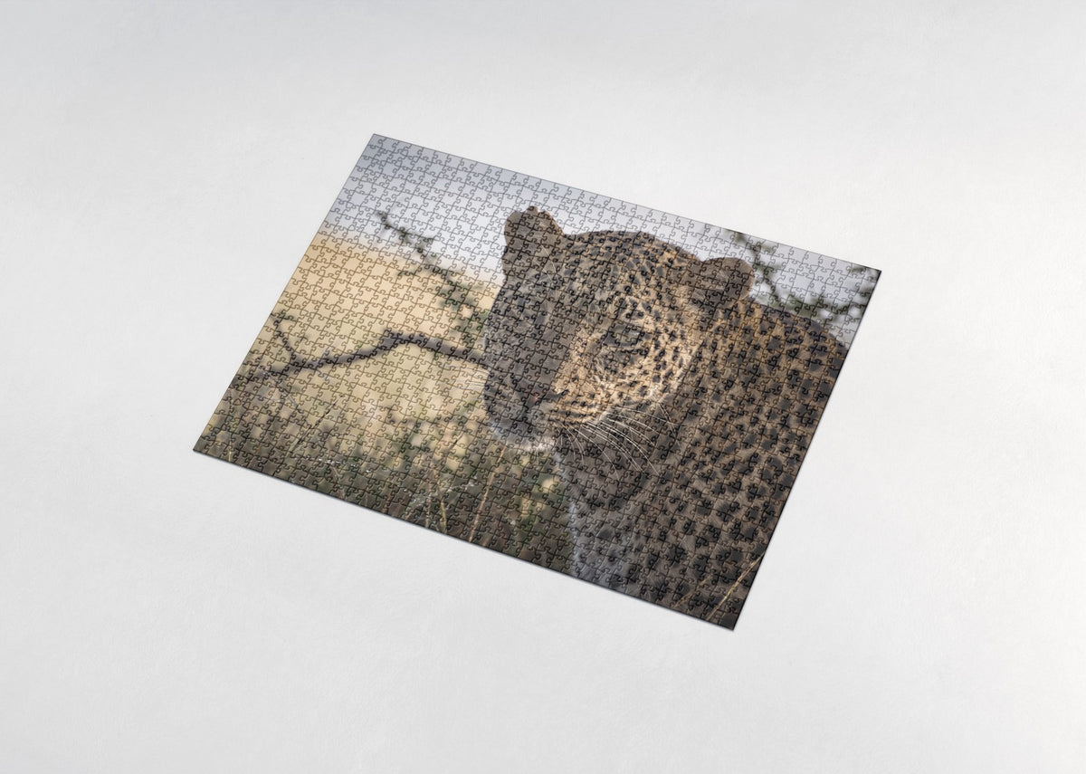 Leopard Portrait in the Morning Light jigsaw puzzle - assembled puzzle
