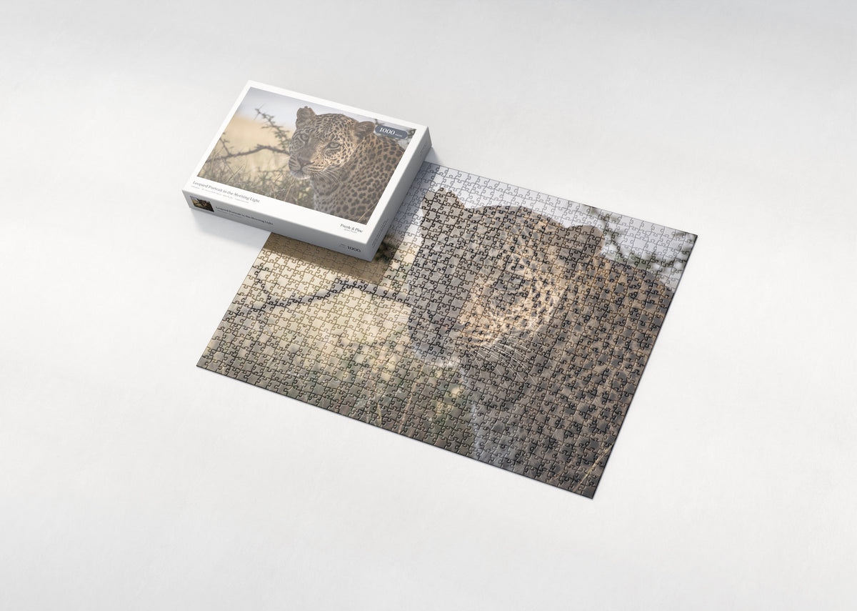 Leopard Portrait in the Morning Light jigsaw puzzle - box and puzzle