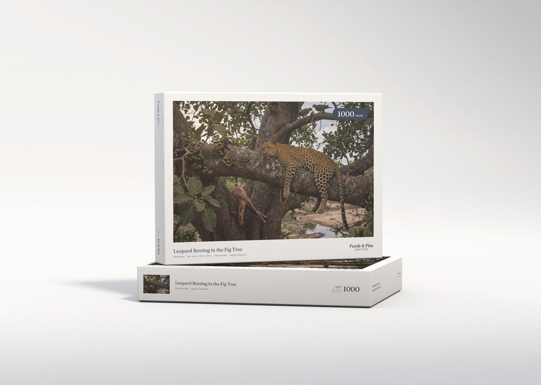 Leopard Resting in the Fig Tree jigsaw puzzle - gift box