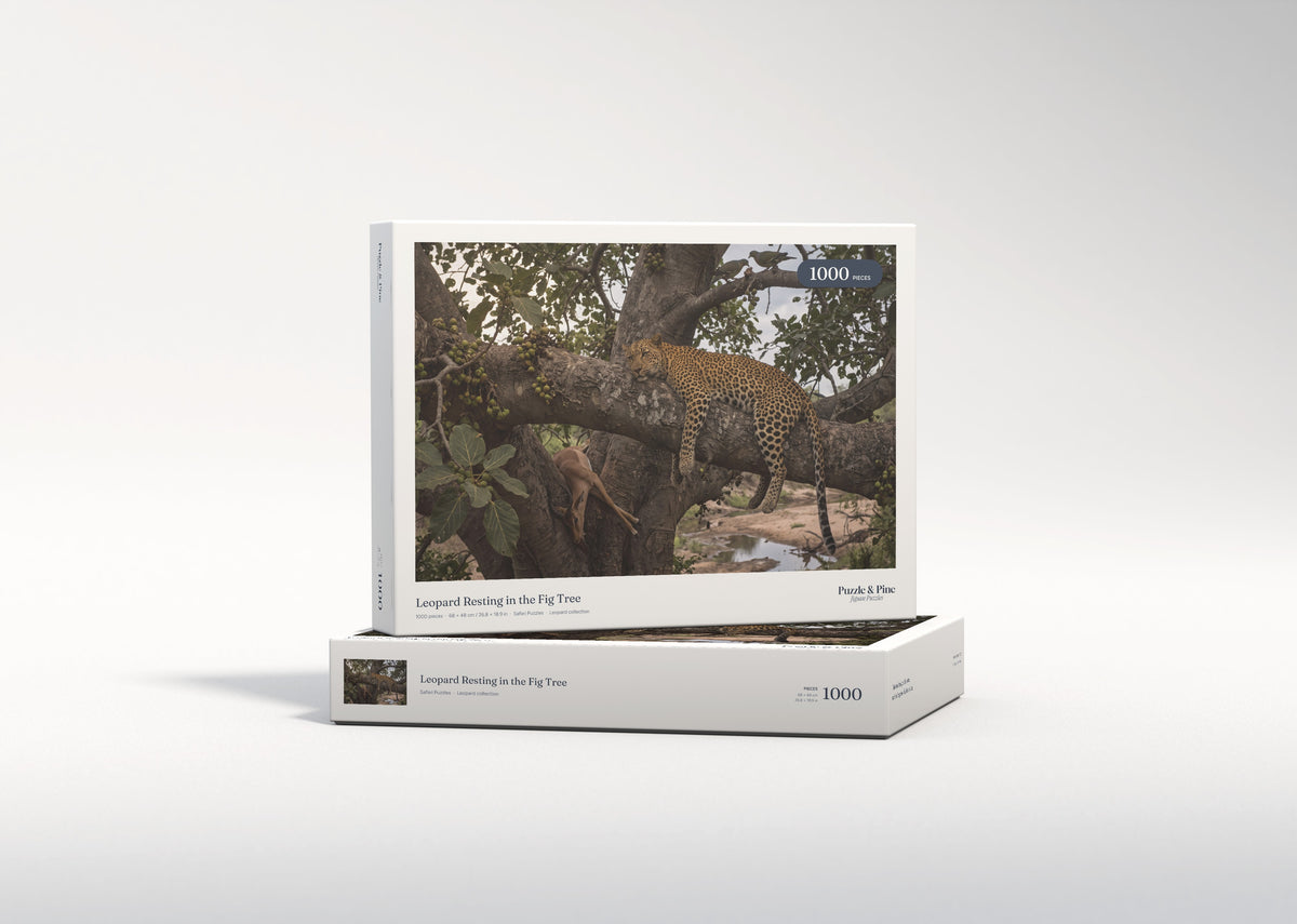 Leopard Resting in the Fig Tree jigsaw puzzle - gift box