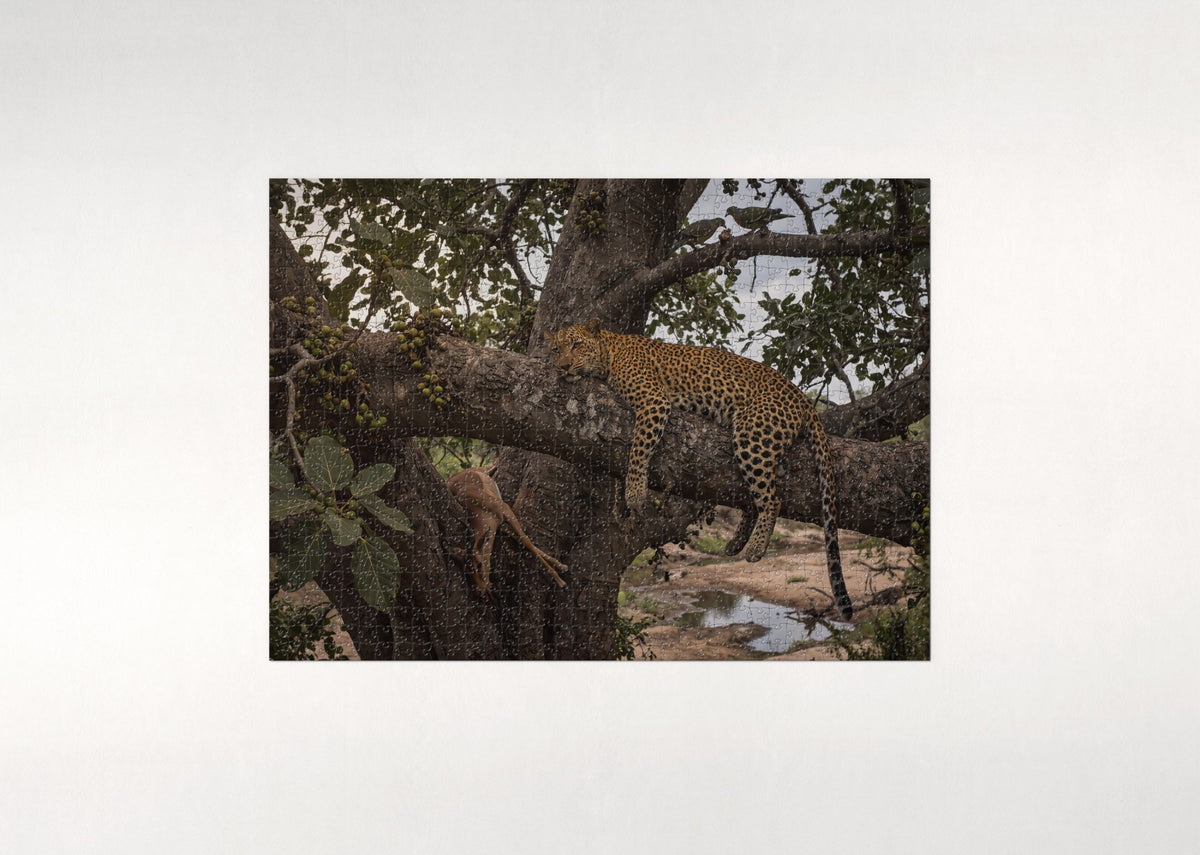 Leopard Resting in the Fig Tree jigsaw puzzle - flat puzzle