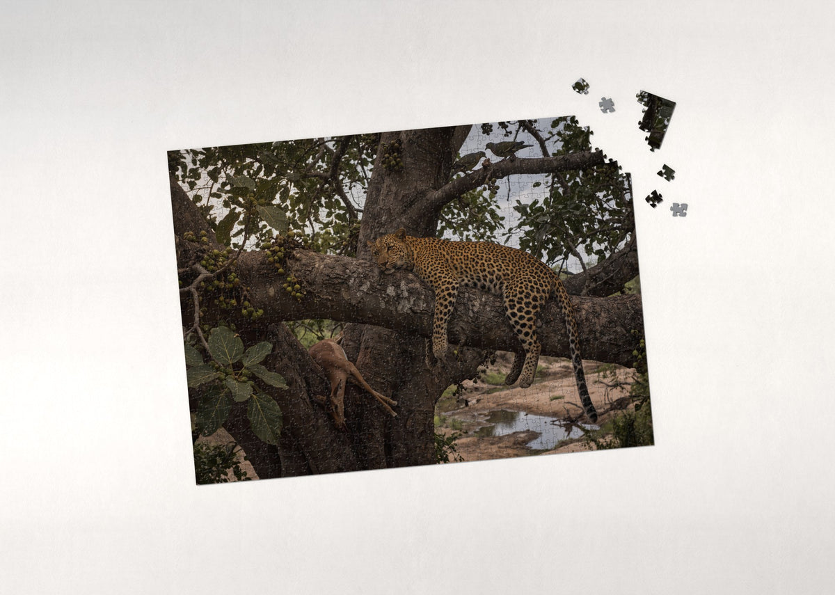 Leopard Resting in the Fig Tree jigsaw puzzle - puzzle with loose pieces