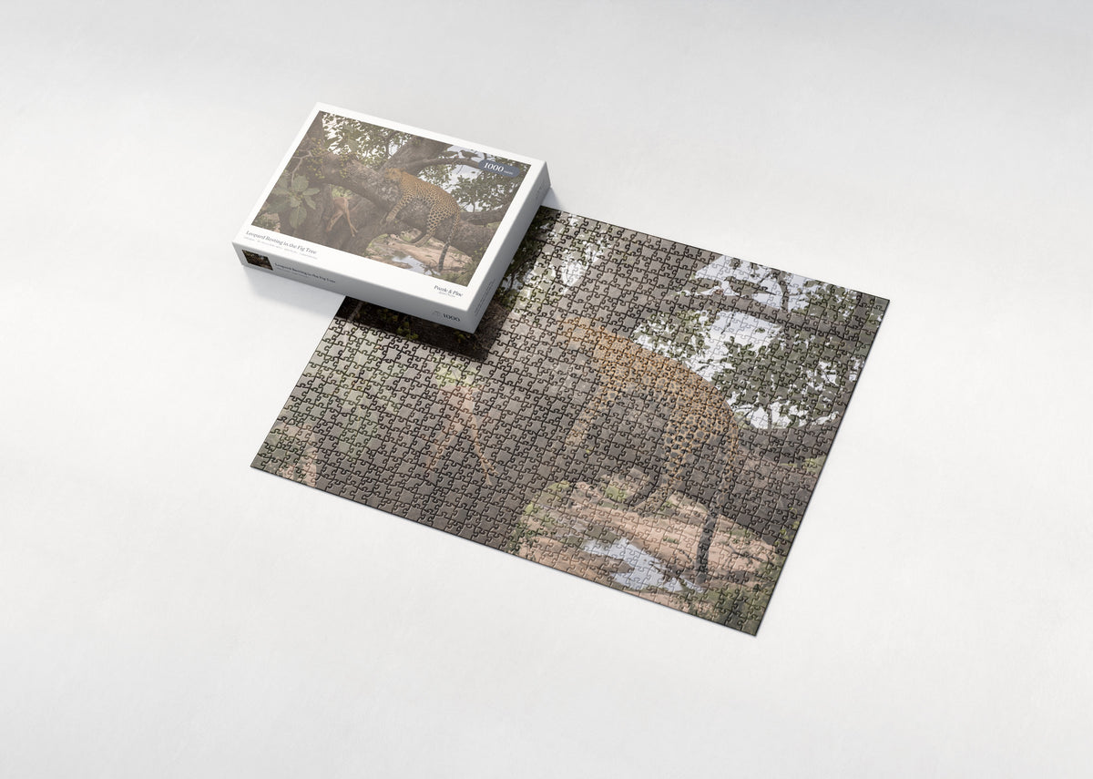 Leopard Resting in the Fig Tree jigsaw puzzle - box and puzzle