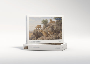 Lion Cubs Playing on the Rocks jigsaw puzzle - gift box
