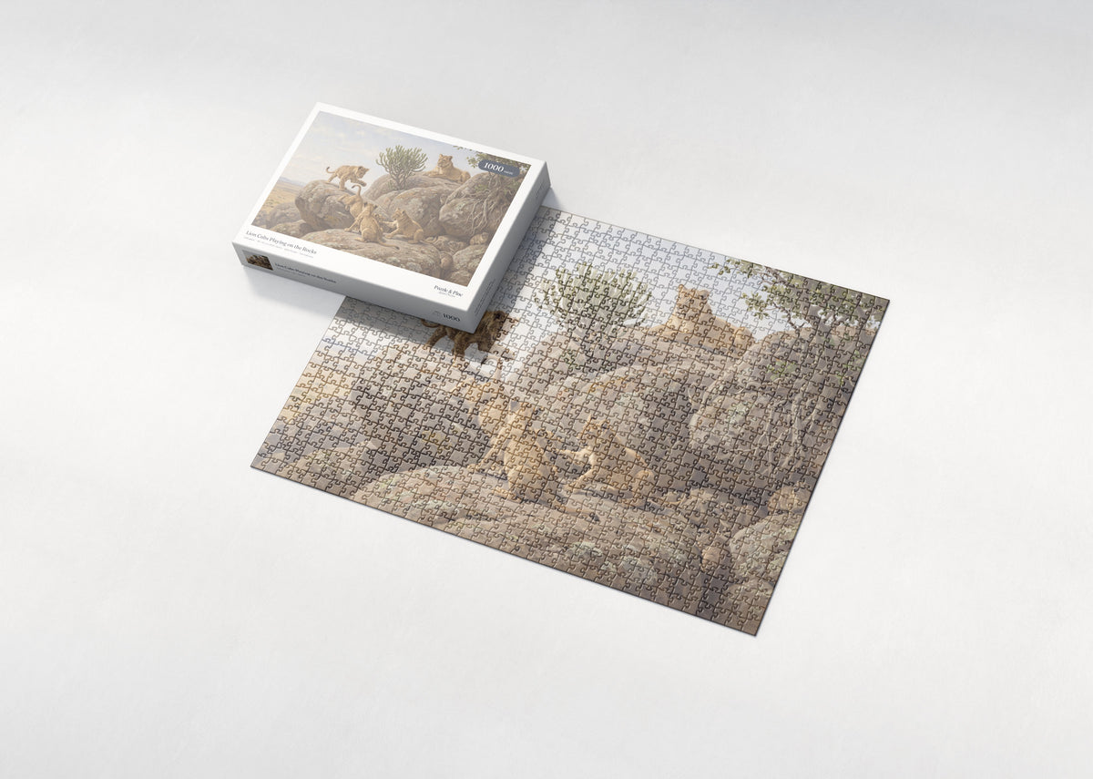Lion Cubs Playing on the Rocks jigsaw puzzle - box and puzzle