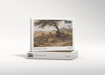 Lion Pride Resting in the Shade jigsaw puzzle - gift box