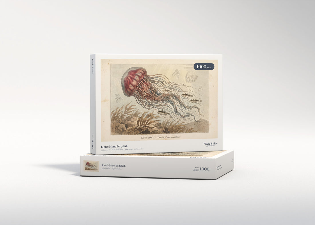 Lion's Mane Jellyfish jigsaw puzzle - gift box