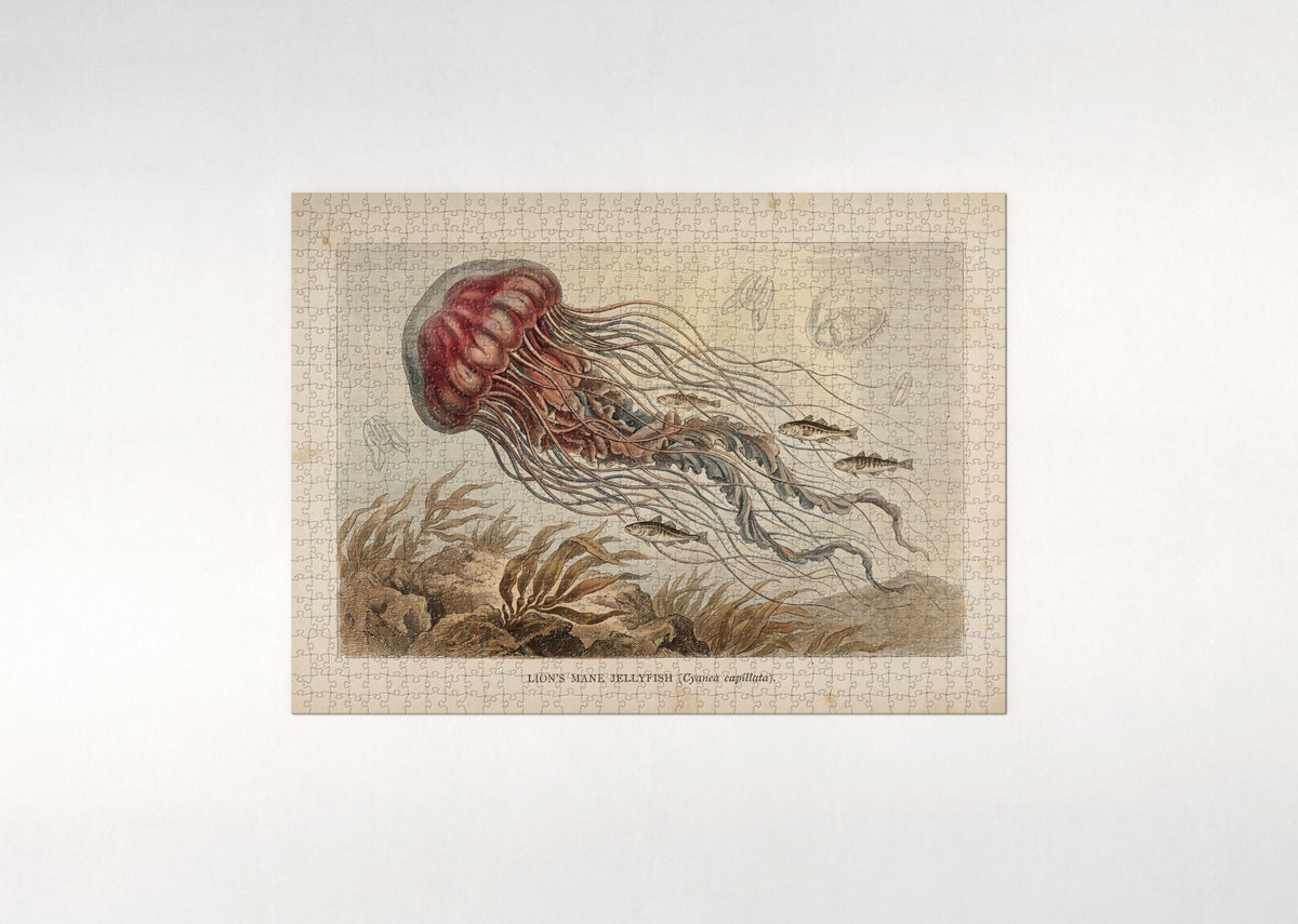 Lion's Mane Jellyfish jigsaw puzzle - flat puzzle