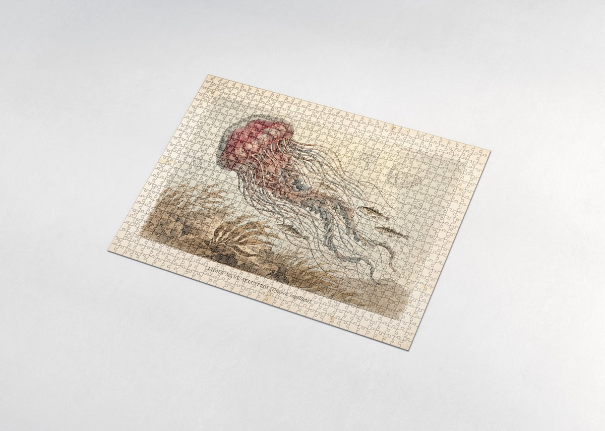 Lion's Mane Jellyfish jigsaw puzzle - assembled puzzle