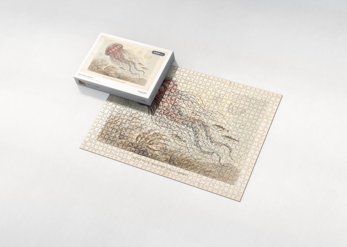 Lion's Mane Jellyfish jigsaw puzzle - box and puzzle