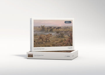 Lioness Hunting at Dawn jigsaw puzzle - gift box