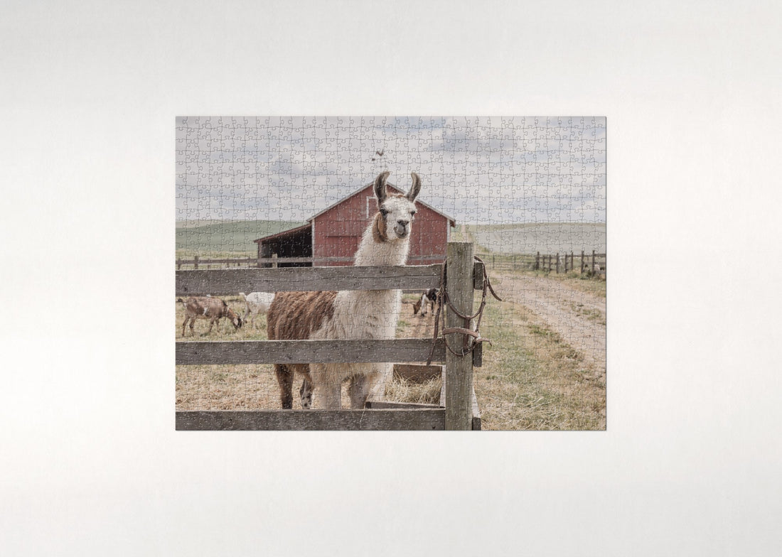 Llama at the Farm Fence jigsaw puzzle - gift box