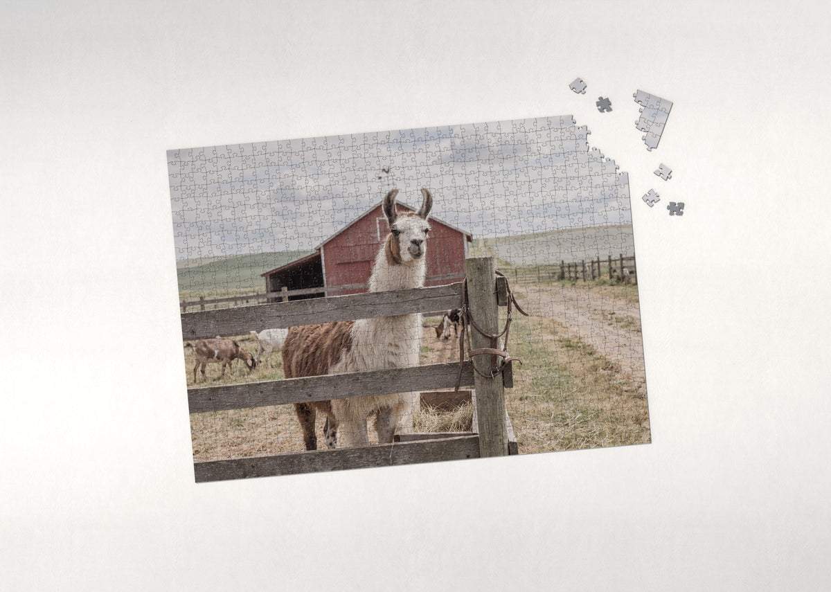 Llama at the Farm Fence jigsaw puzzle - puzzle with loose pieces