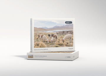 Llamas in the Andean Highlands jigsaw puzzle - gift box