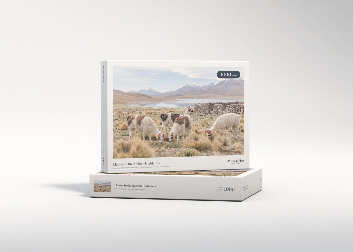 Llamas in the Andean Highlands jigsaw puzzle - gift box