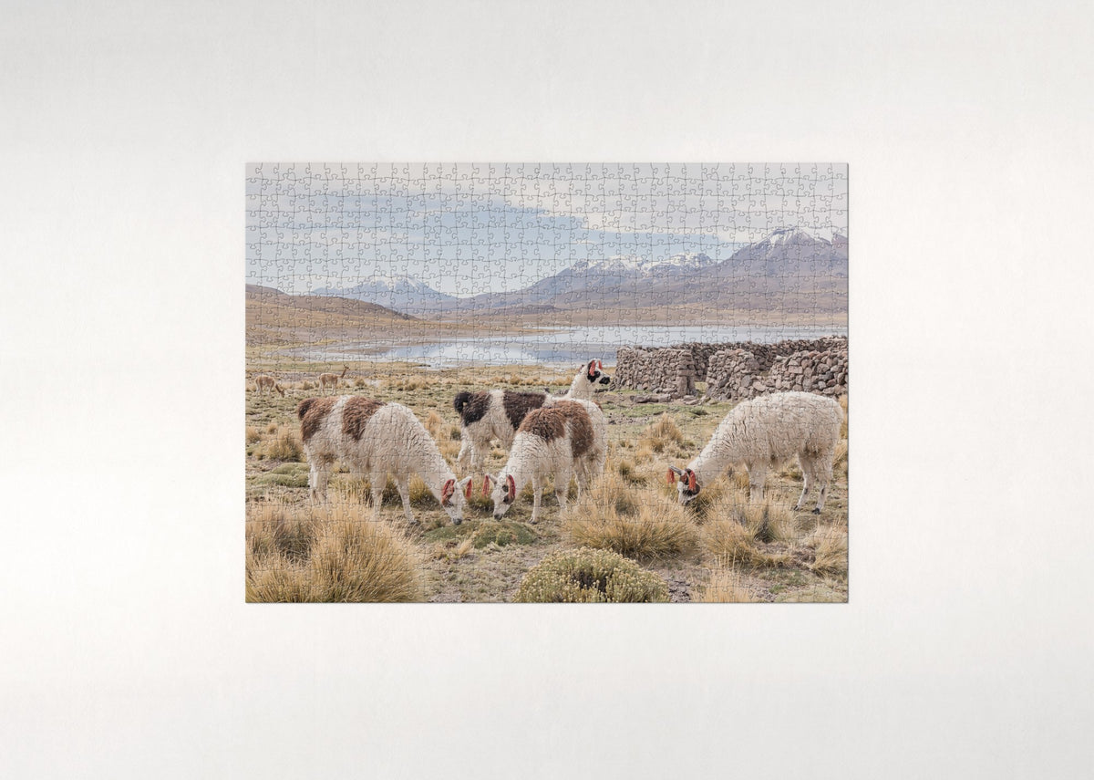 Llamas in the Andean Highlands jigsaw puzzle - flat puzzle