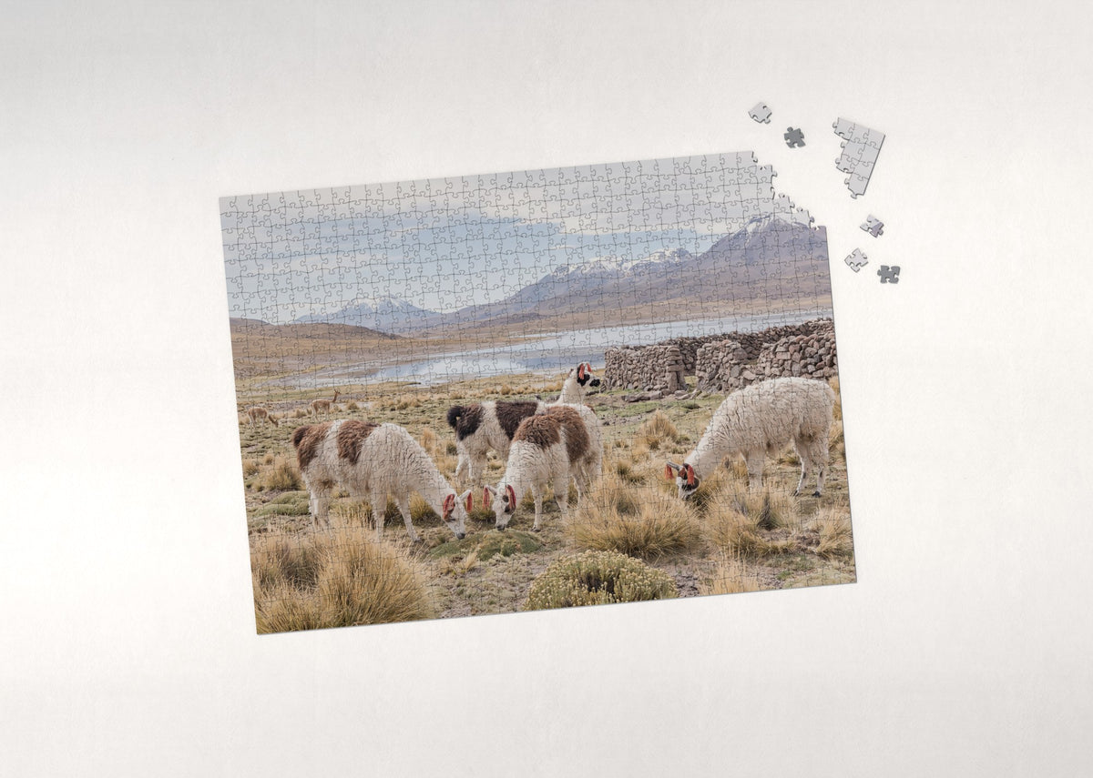 Llamas in the Andean Highlands jigsaw puzzle - puzzle with loose pieces