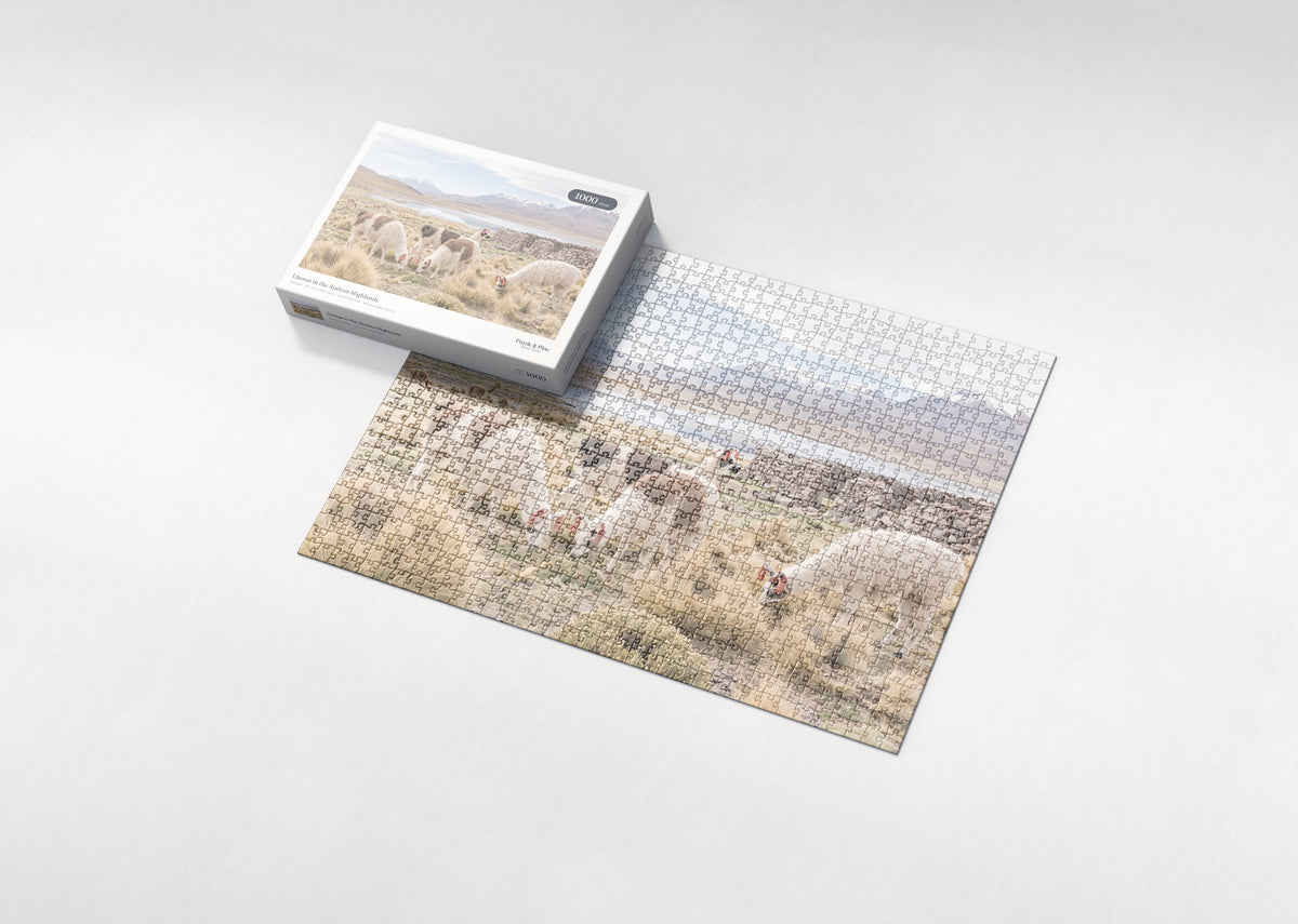 Llamas in the Andean Highlands jigsaw puzzle - box and puzzle