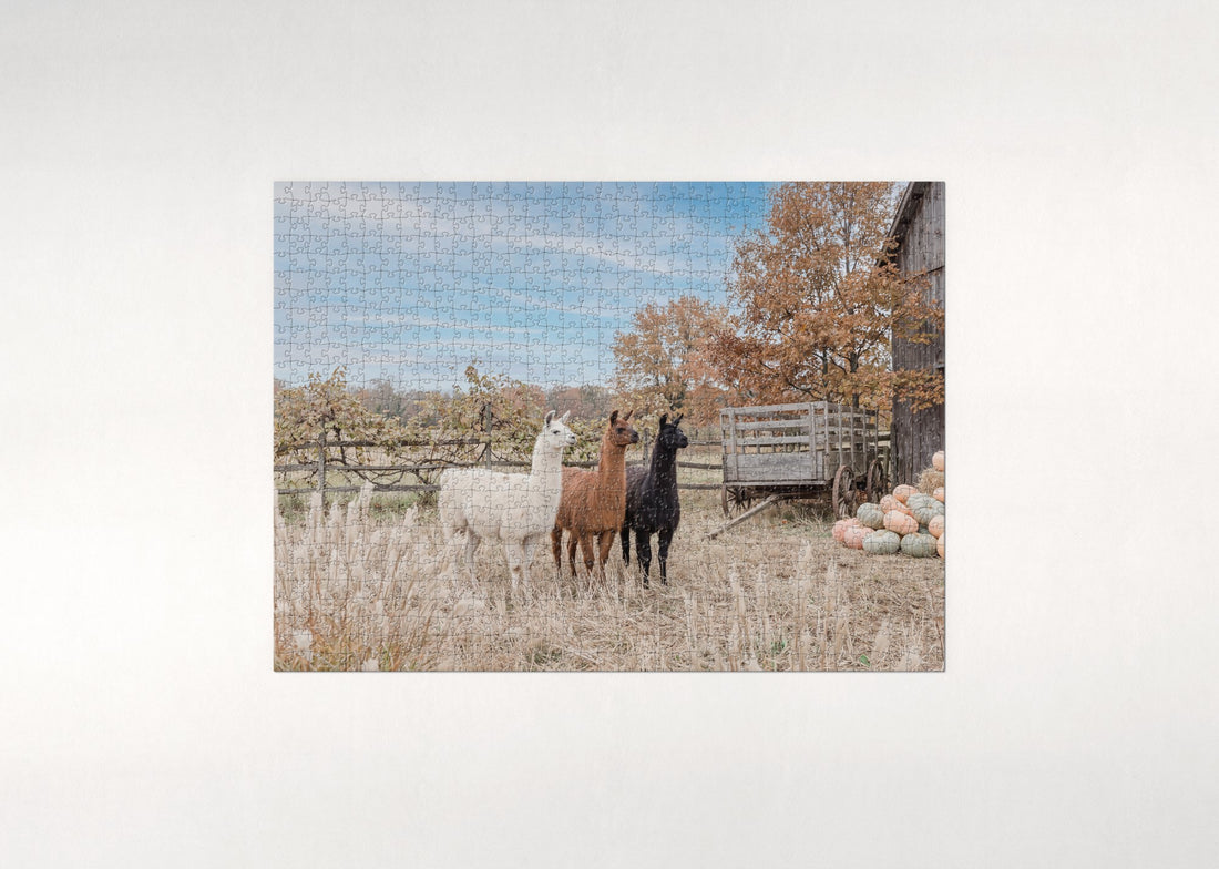 Llamas in the Autumn Field jigsaw puzzle - gift box