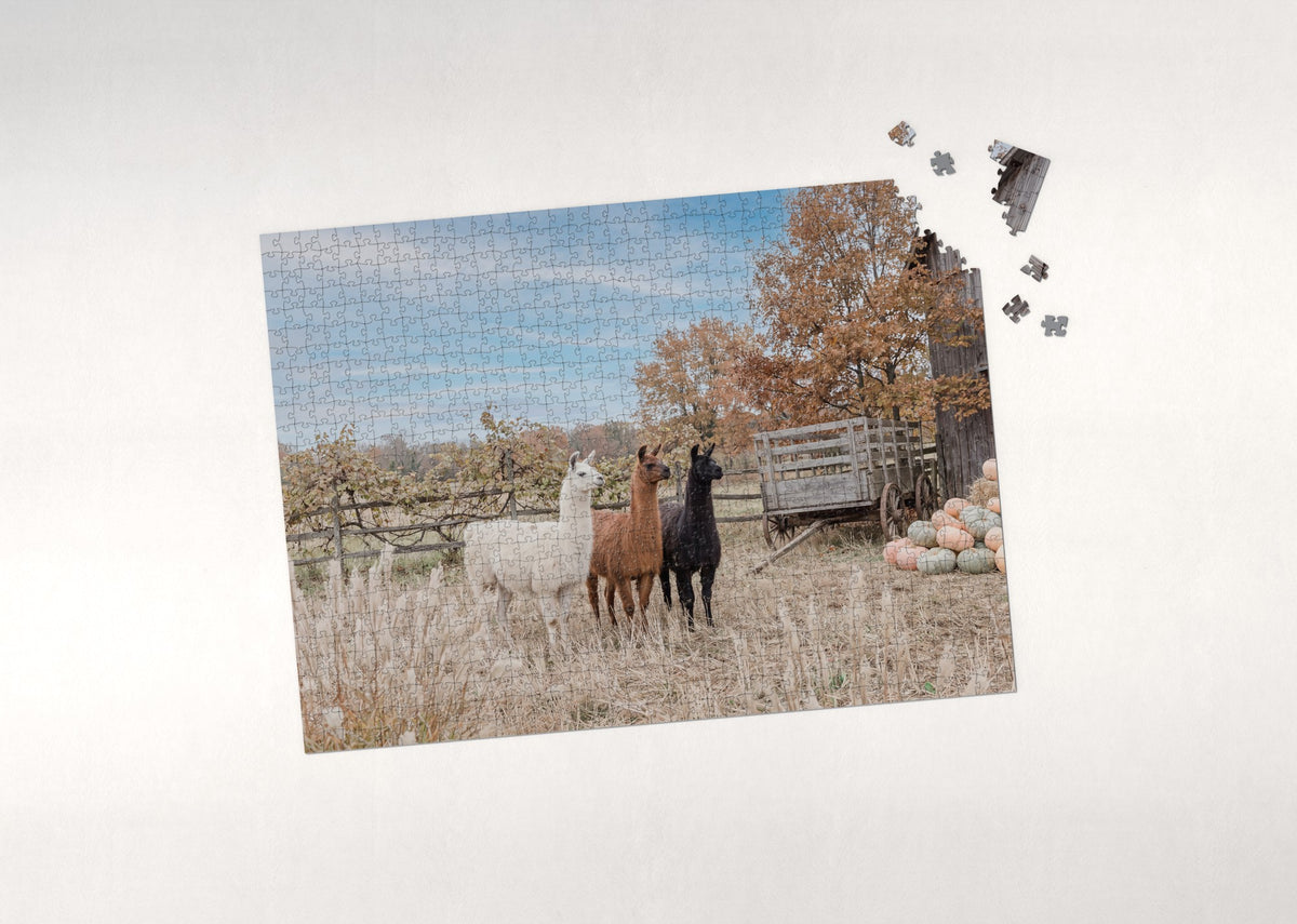Llamas in the Autumn Field jigsaw puzzle - puzzle with loose pieces