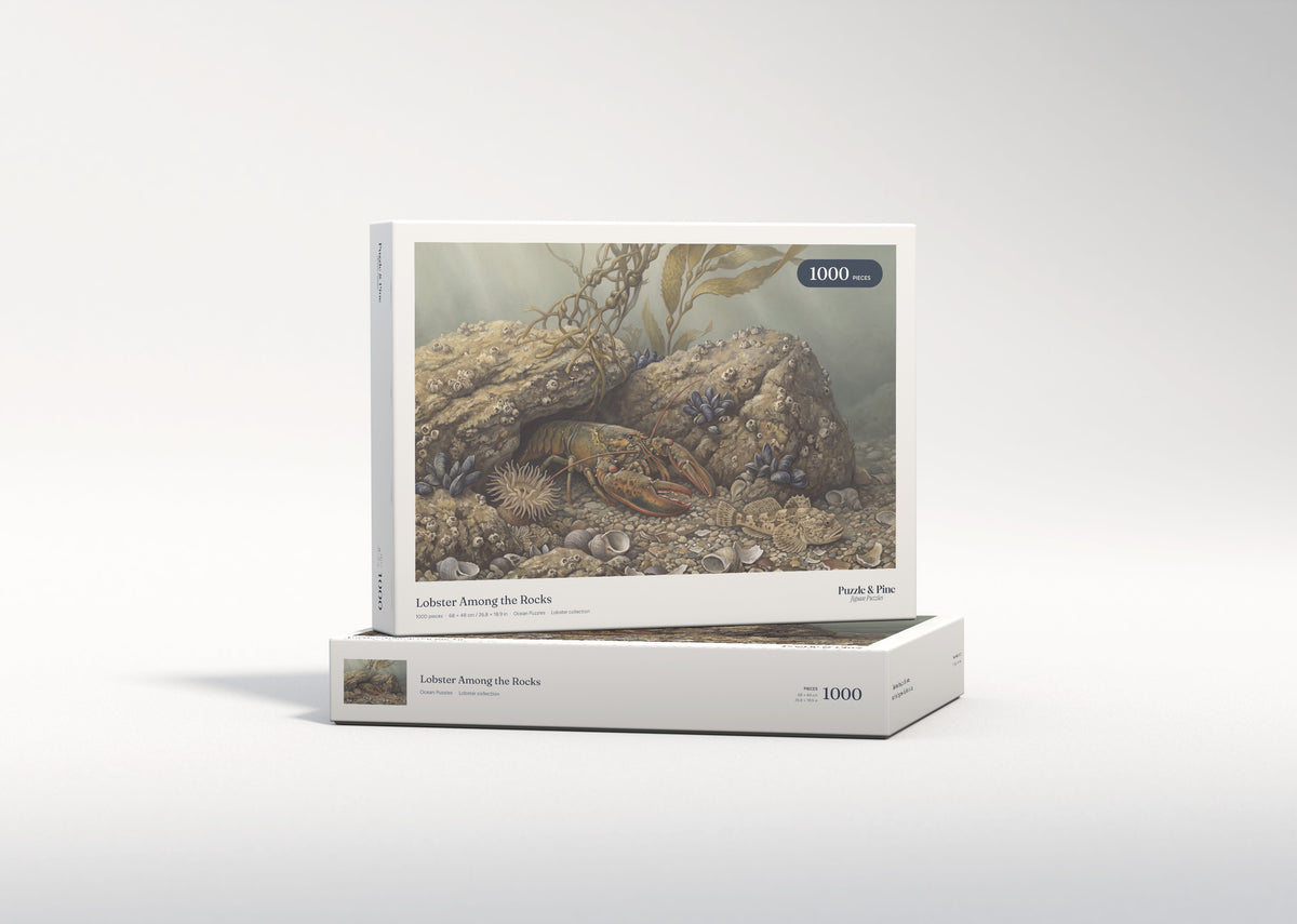 Lobster Among the Rocks jigsaw puzzle - gift box