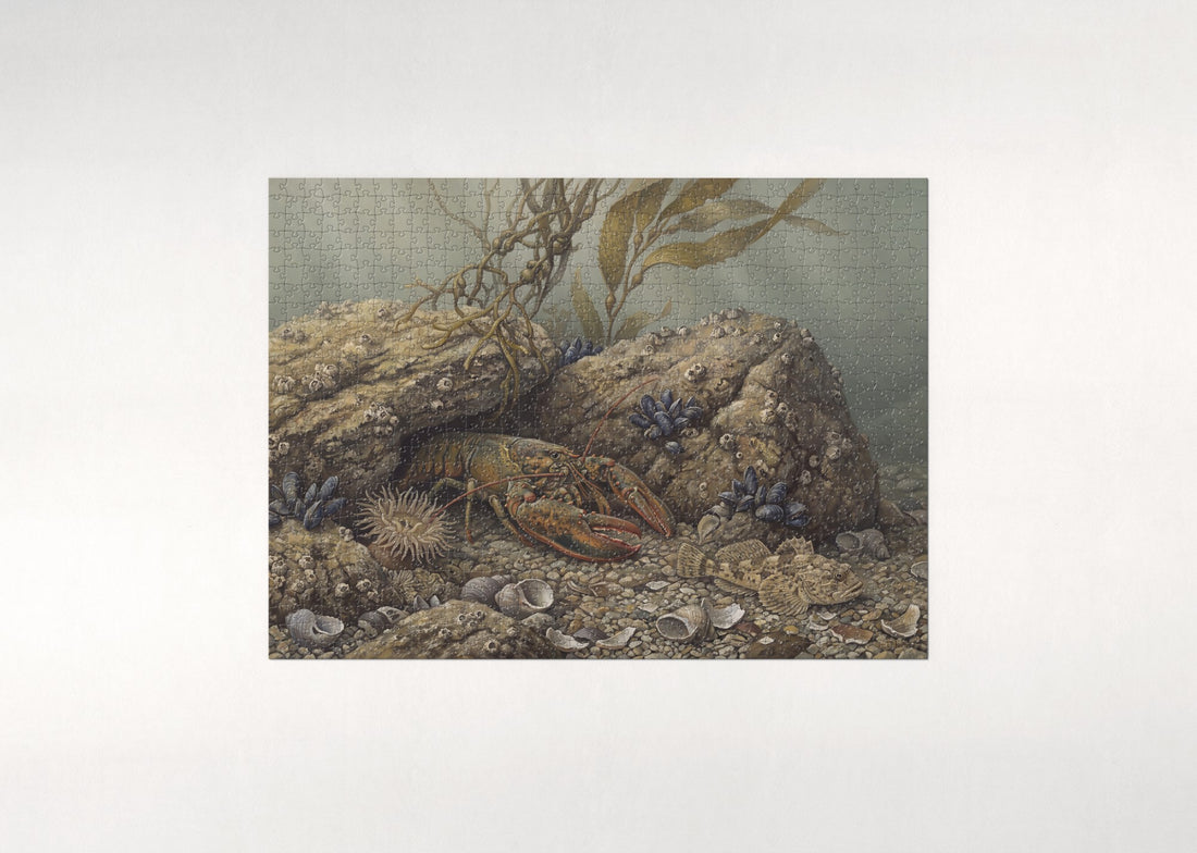 Lobster Among the Rocks jigsaw puzzle - gift box
