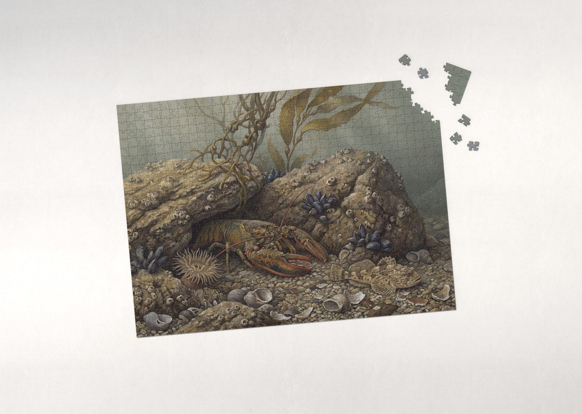 Lobster Among the Rocks jigsaw puzzle - puzzle with loose pieces