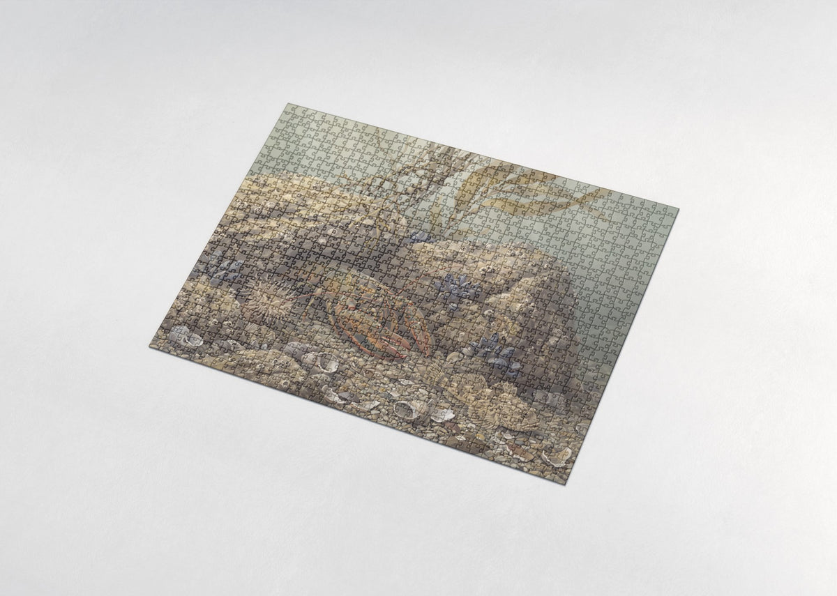 Lobster Among the Rocks jigsaw puzzle - assembled puzzle