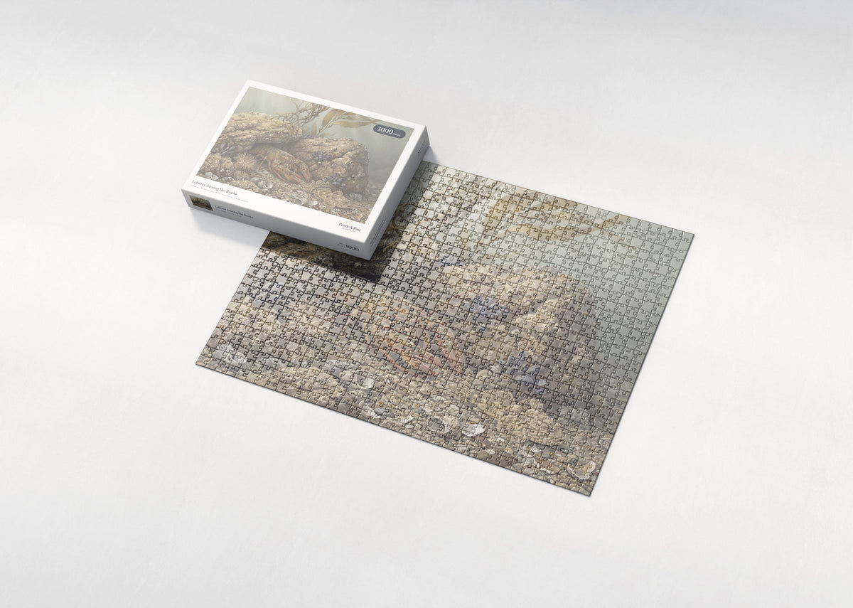 Lobster Among the Rocks jigsaw puzzle - box and puzzle