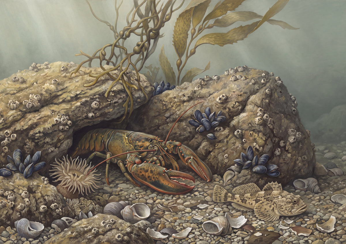 Lobster Among the Rocks jigsaw puzzle