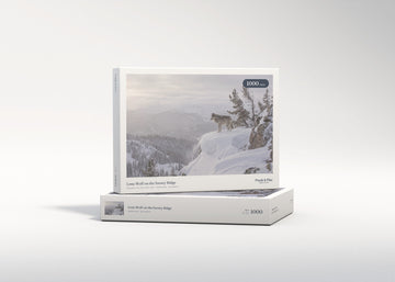Lone Wolf on the Snowy Ridge jigsaw puzzle - gift box