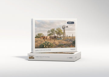 Longhorn Cattle on the Texas Range jigsaw puzzle - gift box